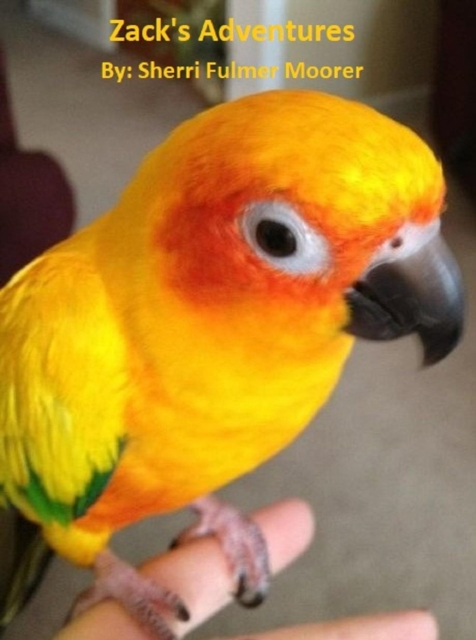 Zack's Adventures