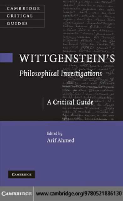 Wittgenstein's Philosophical Investigations