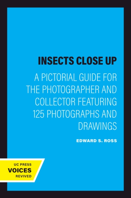 Insects Close Up