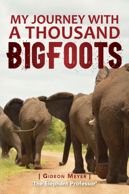 My Journey with a Thousand Bigfoots