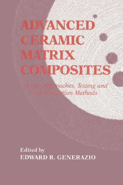 Advanced Ceramic Matrix Composites