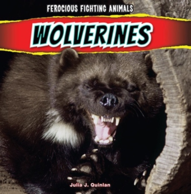 Wolverines