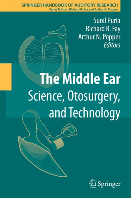 Middle Ear