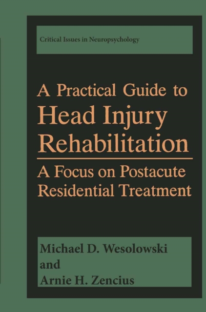 Practical Guide to Head Injury Rehabilitation