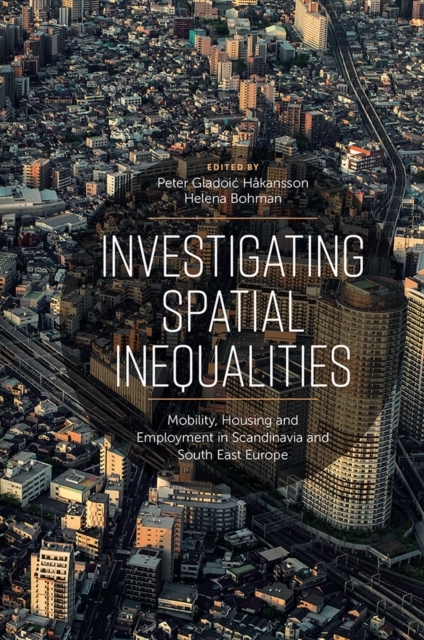 Investigating Spatial Inequalities