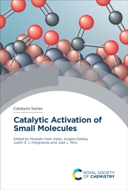 Catalytic Activation of Small Molecules