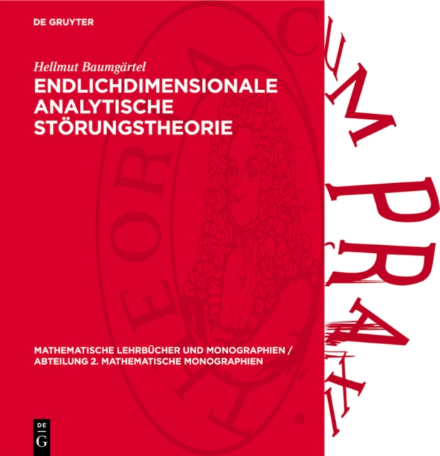 Endlichdimensionale analytische Störungstheorie