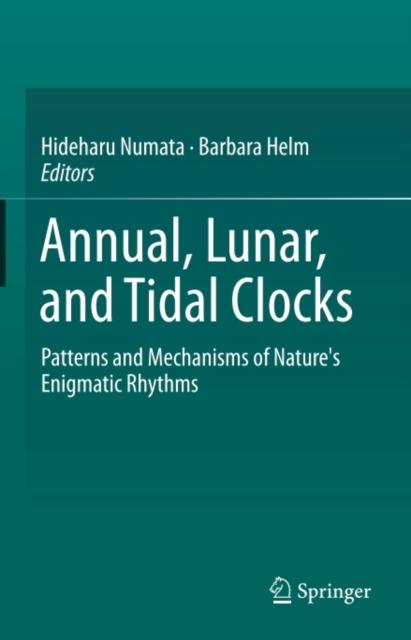 Annual, Lunar, and Tidal Clocks