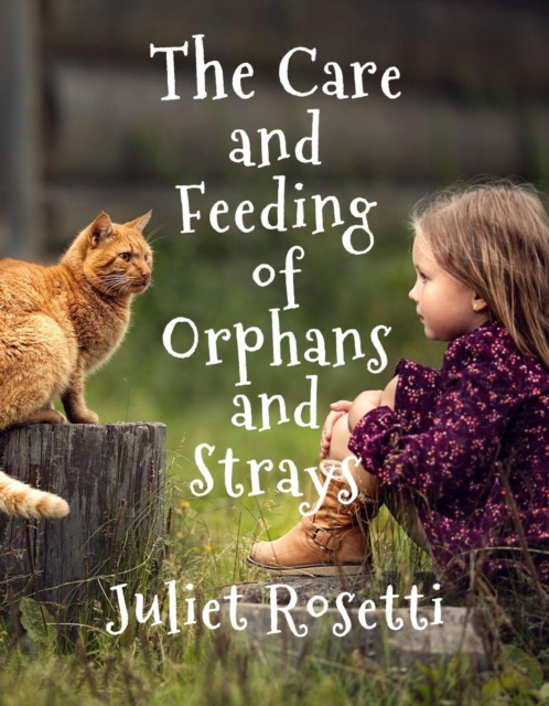 Care & Feeding of Orphans and Strays