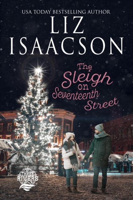 Sleigh on Seventeenth Street