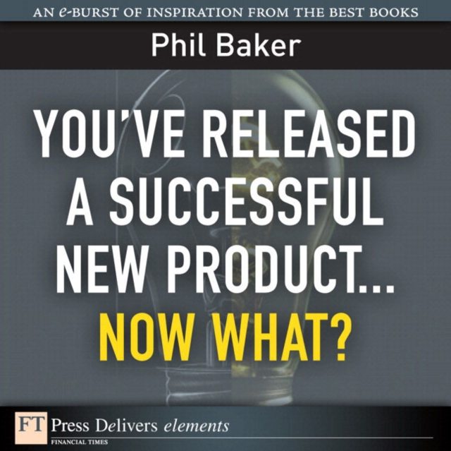 You've Released a Successful New Product : Now What?