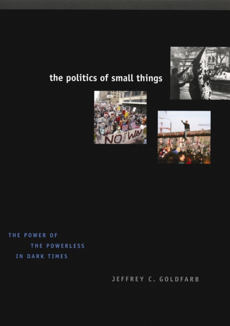 Politics of Small Things