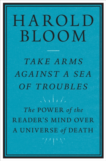 Take Arms against a Sea of Troubles