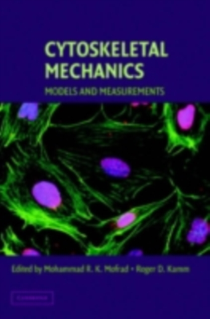 Cytoskeletal Mechanics