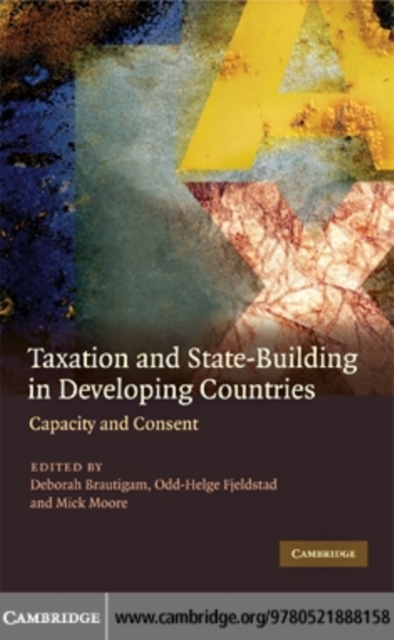 Taxation and State-Building in Developing Countries