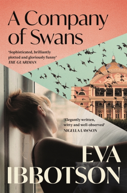 Company of Swans