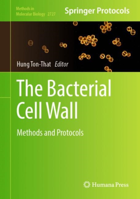 Bacterial Cell Wall