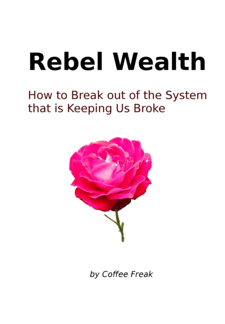 Rebel Wealth: How To Break Out Of The System That Is Keeping Us Broke