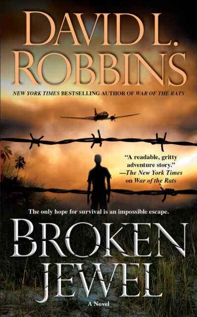 Broken Jewel