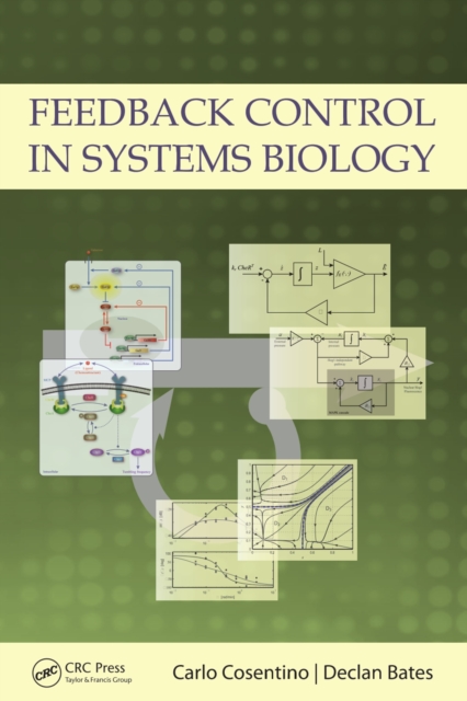 Feedback Control in Systems Biology