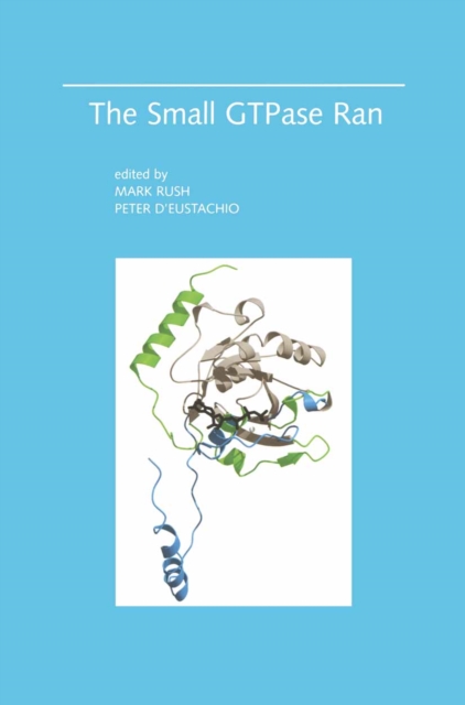 Small GTPase Ran