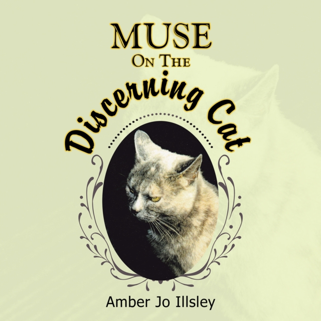 Muse on the Discerning Cat