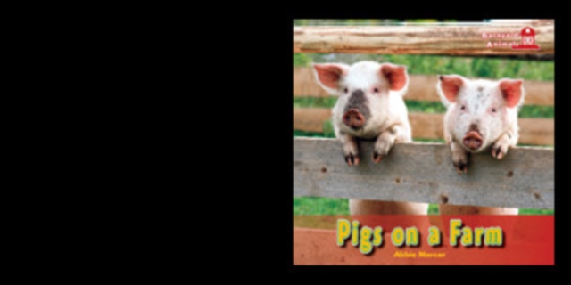 Pigs on a Farm
