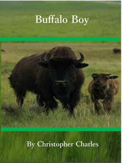 Buffalo Boy
