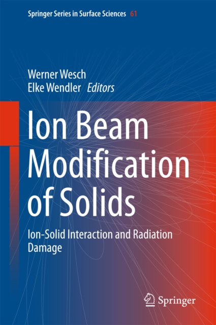 Ion Beam Modification of Solids