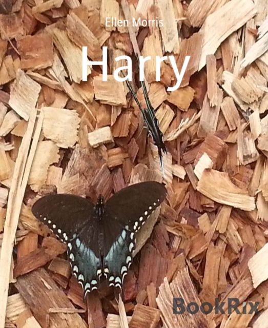 Harry