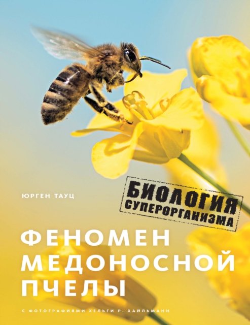 The Buzz about Bees: Biology of a Superorganism