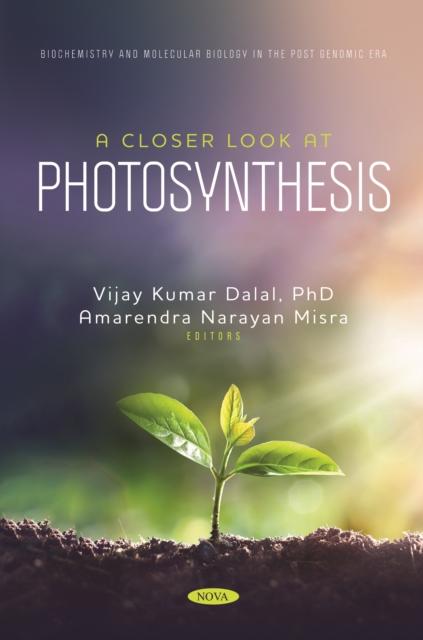 Closer Look at Photosynthesis
