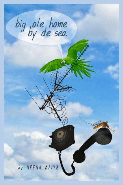 Big Ole Home By De Sea