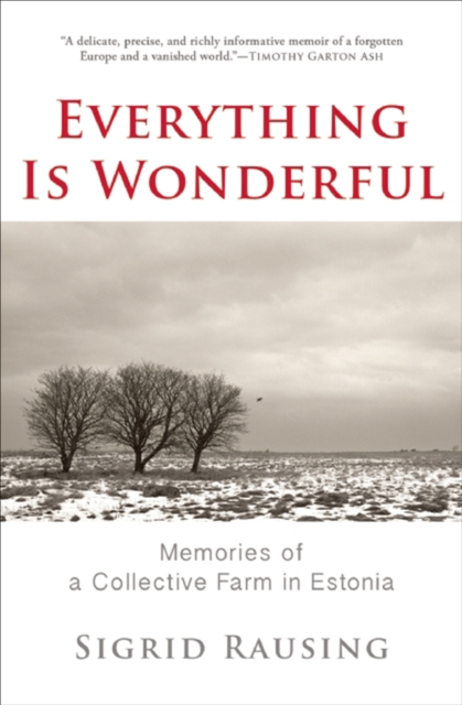 Everything Is Wonderful