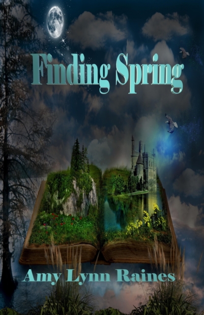 Finding Spring