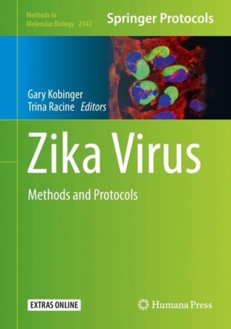 Zika Virus