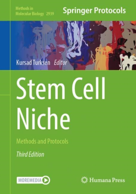 Stem Cell Niche