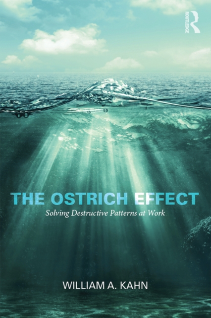 Ostrich Effect