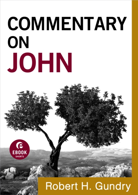 Commentary on John ( Book #4)
