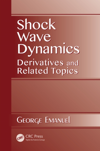 Shock Wave Dynamics