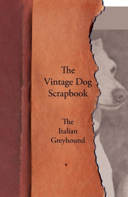 Vintage Dog Scrapbook - The Italian Greyhound
