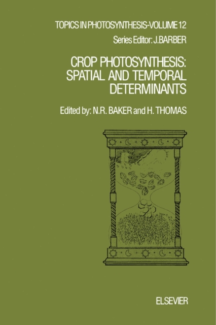 Advances in Theoretical Hydrology
