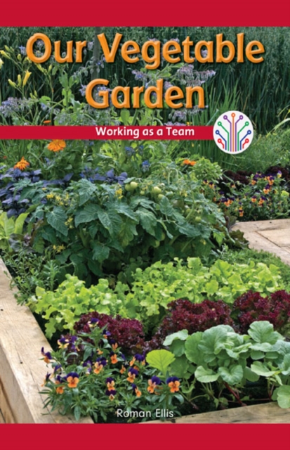 Our Vegetable Garden