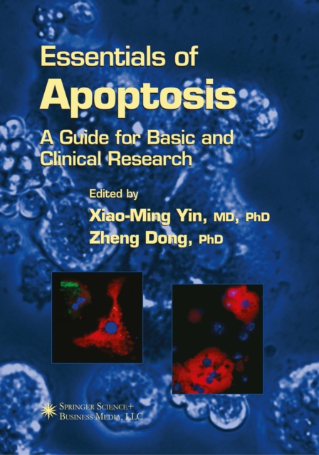 Essentials of Apoptosis