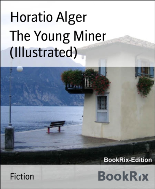 Young Miner (Illustrated)