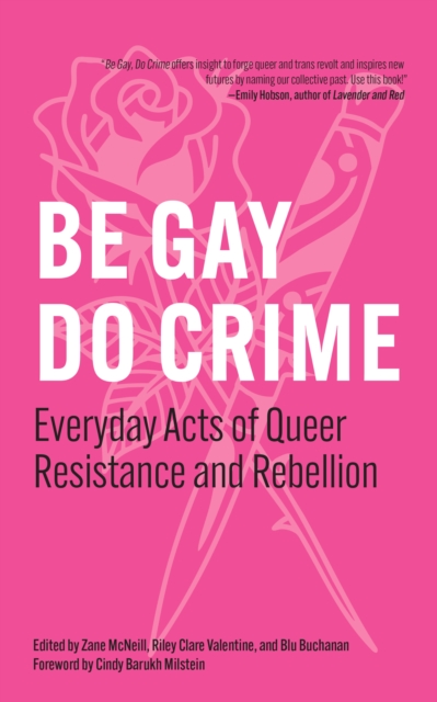 Be Gay, Do Crime