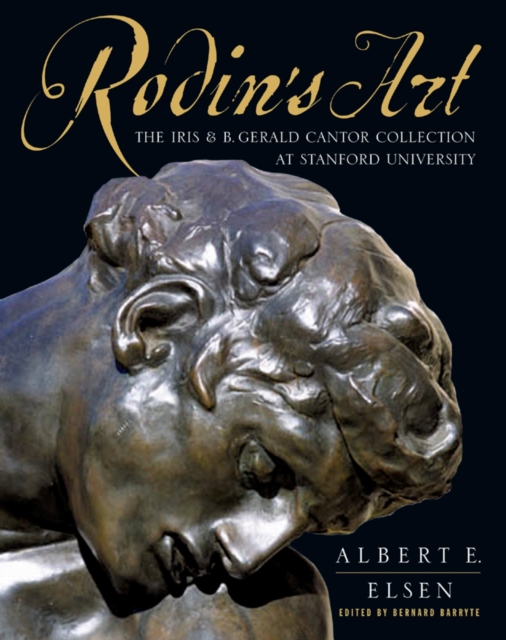 Rodin's Art