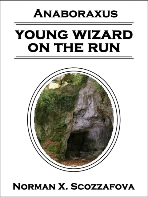 Young Wizard on the Run