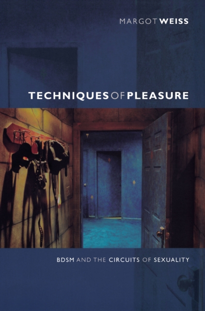 Techniques of Pleasure