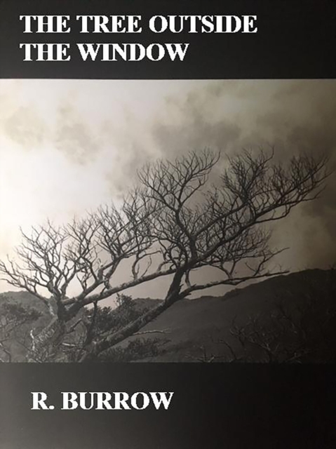 Tree Outside the Window